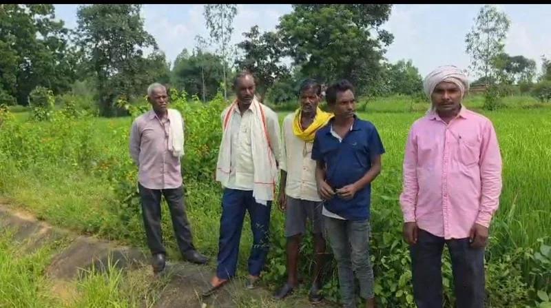 सूखे खेतों में पहुंचा पानी, बुचकी के किसानों की बदली तस्वीर