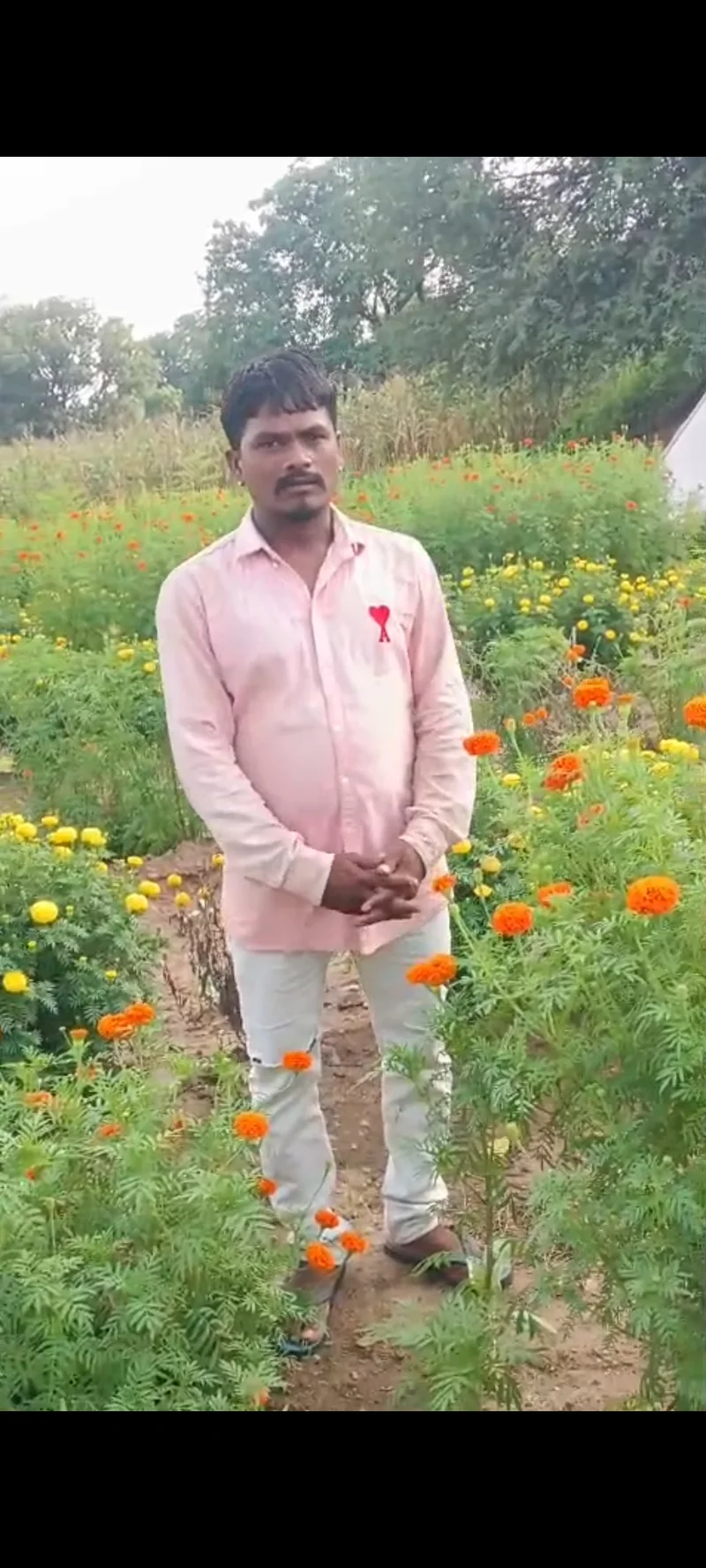 प्राकृतिक खेती अपनाकर खेती की लागत कम कर अतिरिक्त बचत कर रहे महेश माली ( सफलता की कहानी)
